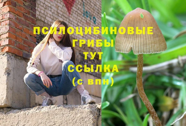 спайс Армянск