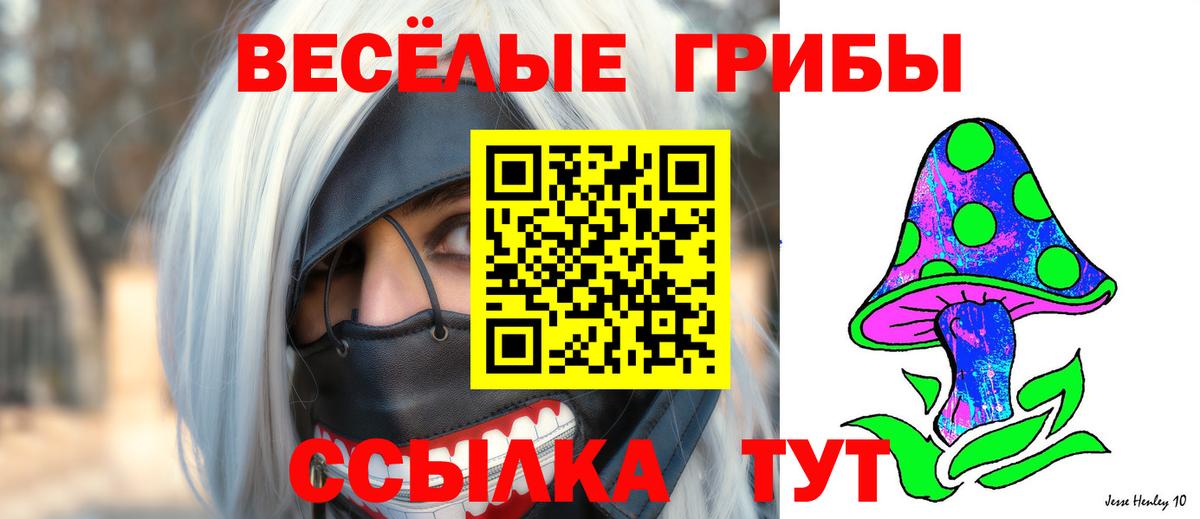 магазин  наркотиков  Псилоцибиновые грибы прущие грибы  Вход с VPN  Шатура 