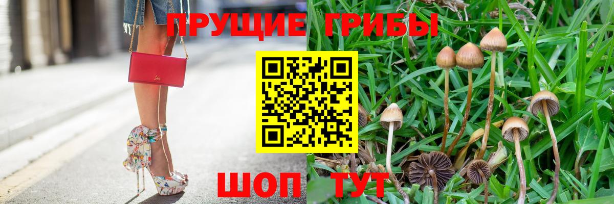 Галлюциногенные грибы ЛСД Шатура